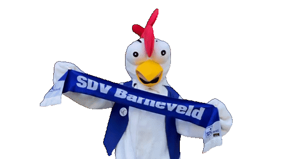 dtp video Gif SDVB Kidsclub voetbal